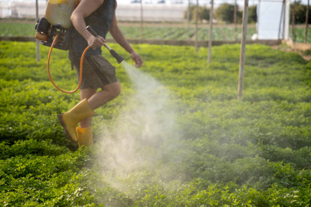 Best Best Pest Control Companies  in Piermont, NY