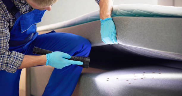Best Pest Control for Businesses  in Piermont, NY