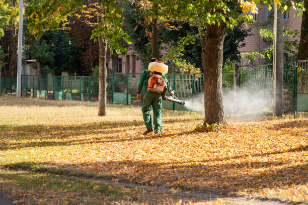 Best Local Pest Control Services  in Piermont, NY