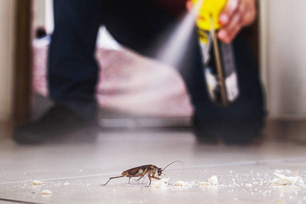 Reliable Piermont, NY Pest Control Solutions