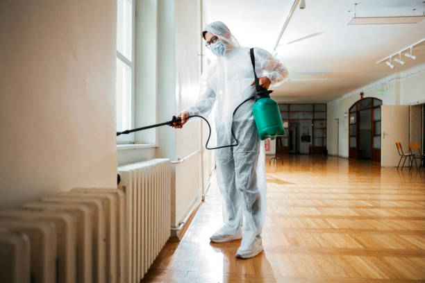 Best Flea Control Services  in Piermont, NY