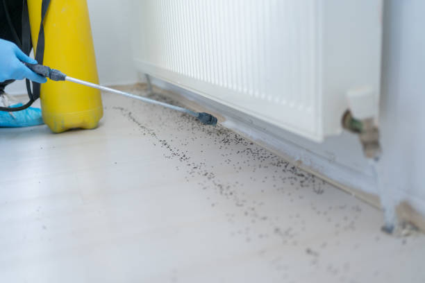 Best Pest Removal Services  in Piermont, NY
