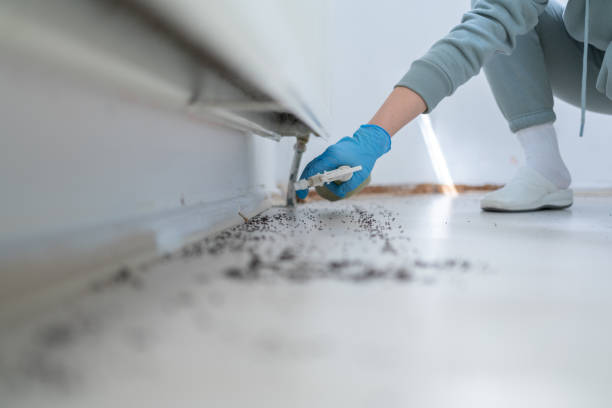 Best Flea Control Services  in Piermont, NY